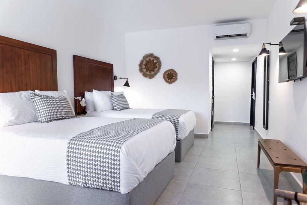 Buena Vista Arriba Hotel Vista Lago מראה חיצוני תמונה